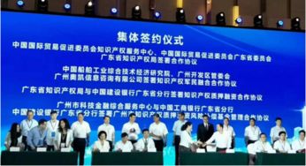 中國國際貿(mào)易促進委員會知識產(chǎn)權(quán)服務(wù)中心 國際貿(mào)易中的知識產(chǎn)權(quán)守護者與咨詢智庫